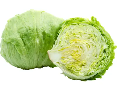 Jégsaláta