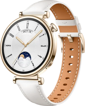 HUAWEI Watch GT4 Classic 41mm 55020BJB