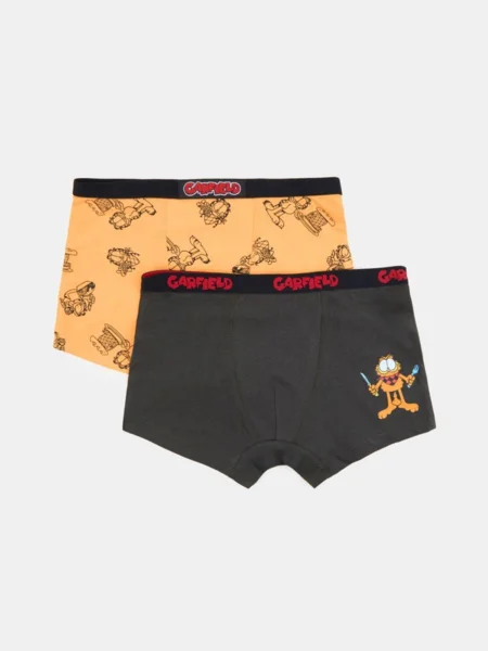 2 boxer Garfield (127HI-22X)