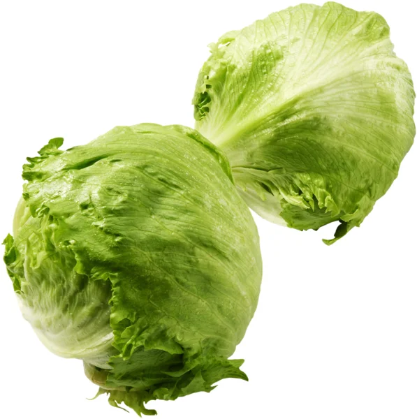 Jégsaláta