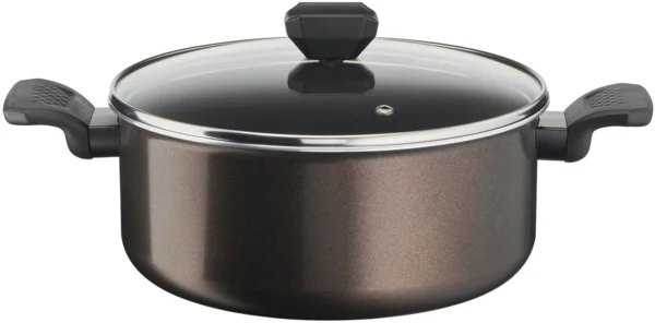 Tefal 24cm Casserole Dish Easy Cook & Clean B5544653 lábas