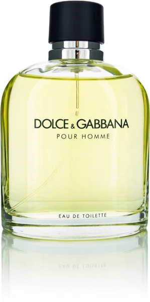 DOLCE & GABBANA Pour Homme EdT 125 ml eau de toilette (AlzaPlus+)