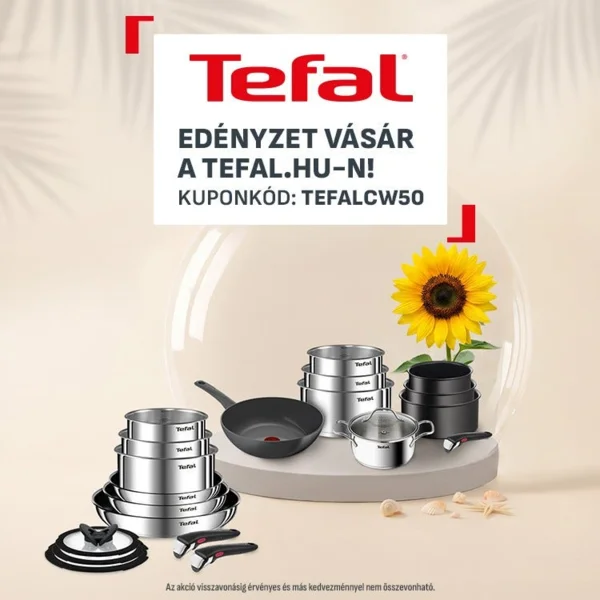Nyári edényzet vásár! (1+1 Tefal akció)