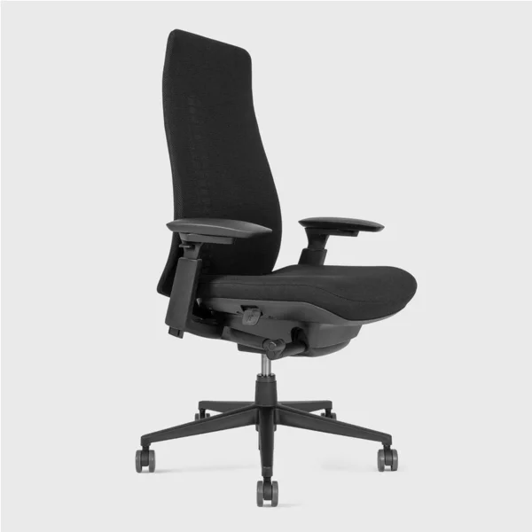 Fern Ergonomic Office Chair