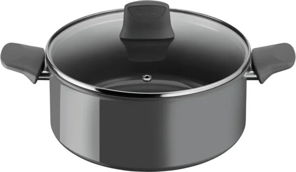Edény fedővel Tefal Renewal 24 cm C4264673